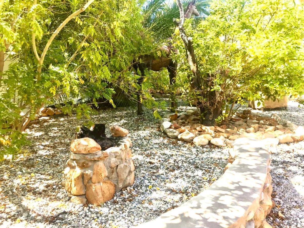 Mountain View Eco Lodge Montagu Luaran gambar