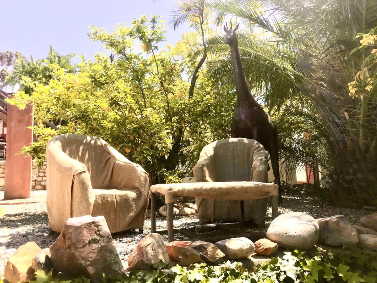 Mountain View Eco Lodge Montagu Luaran gambar