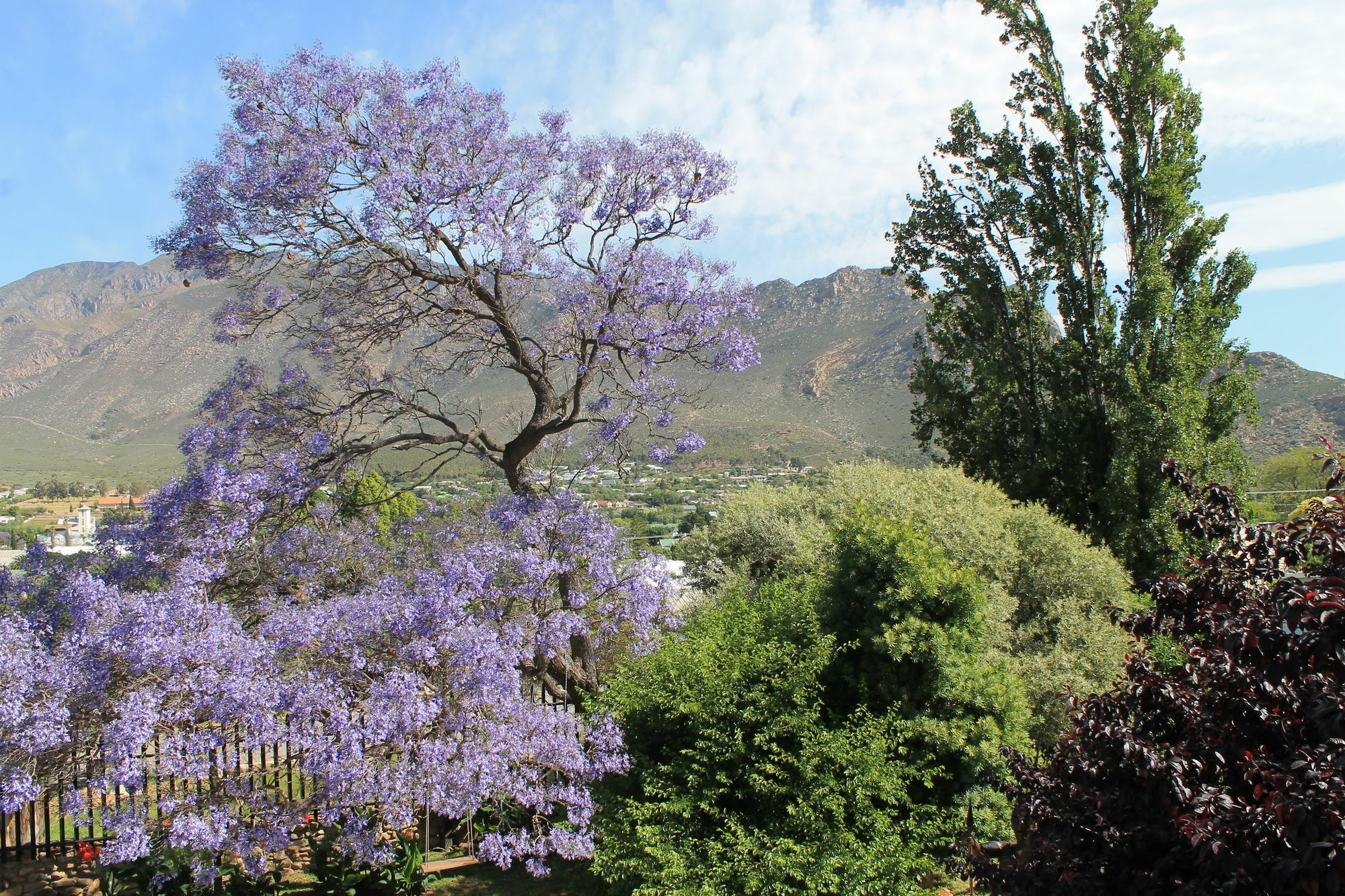 Mountain View Eco Lodge Montagu Luaran gambar