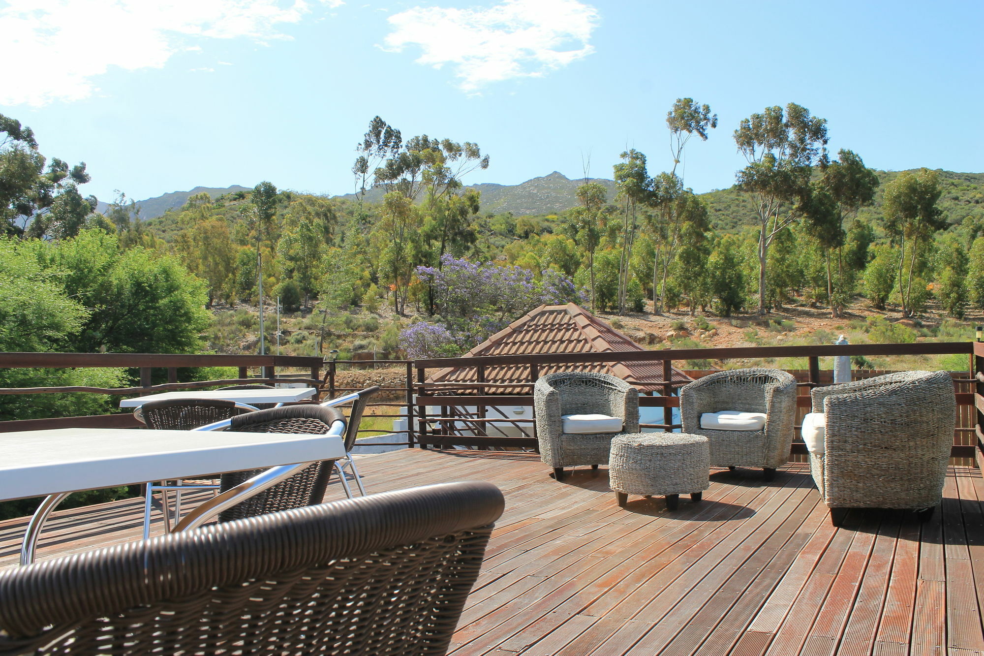 Mountain View Eco Lodge Montagu Luaran gambar